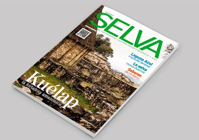 revista